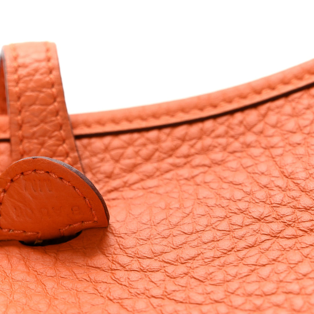 Taurillon Clemence Evelyne TPM Orange