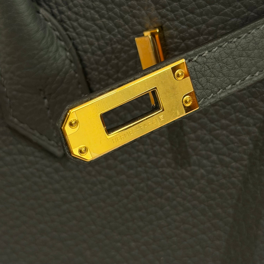 Hermes Birkin 25 Togo Gris Misty with Gold Hardware (Stamp G)