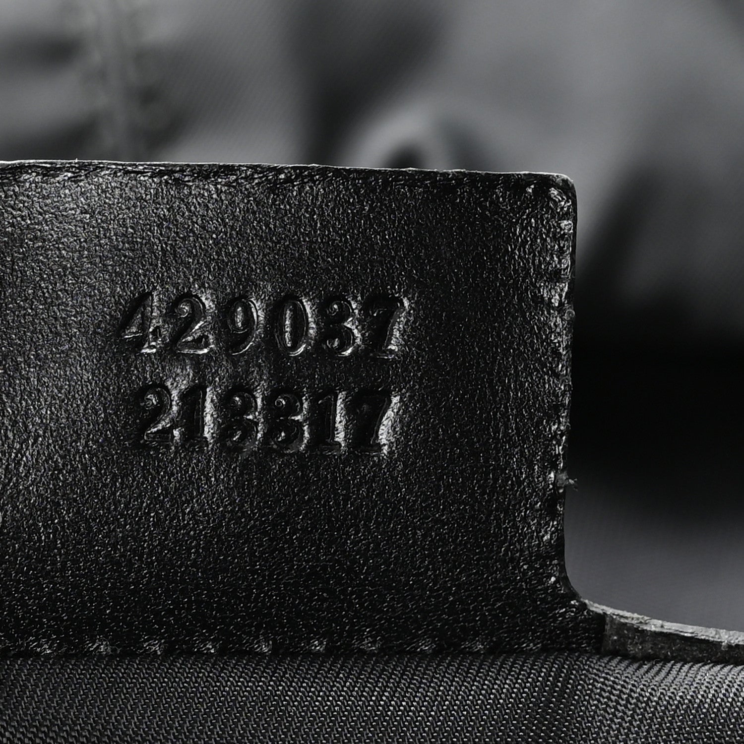Techno Canvas Web Double Buckle Backpack Black