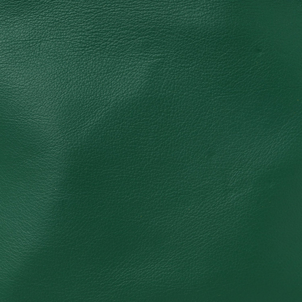 Goyardine Reversible Mini Anjou Green