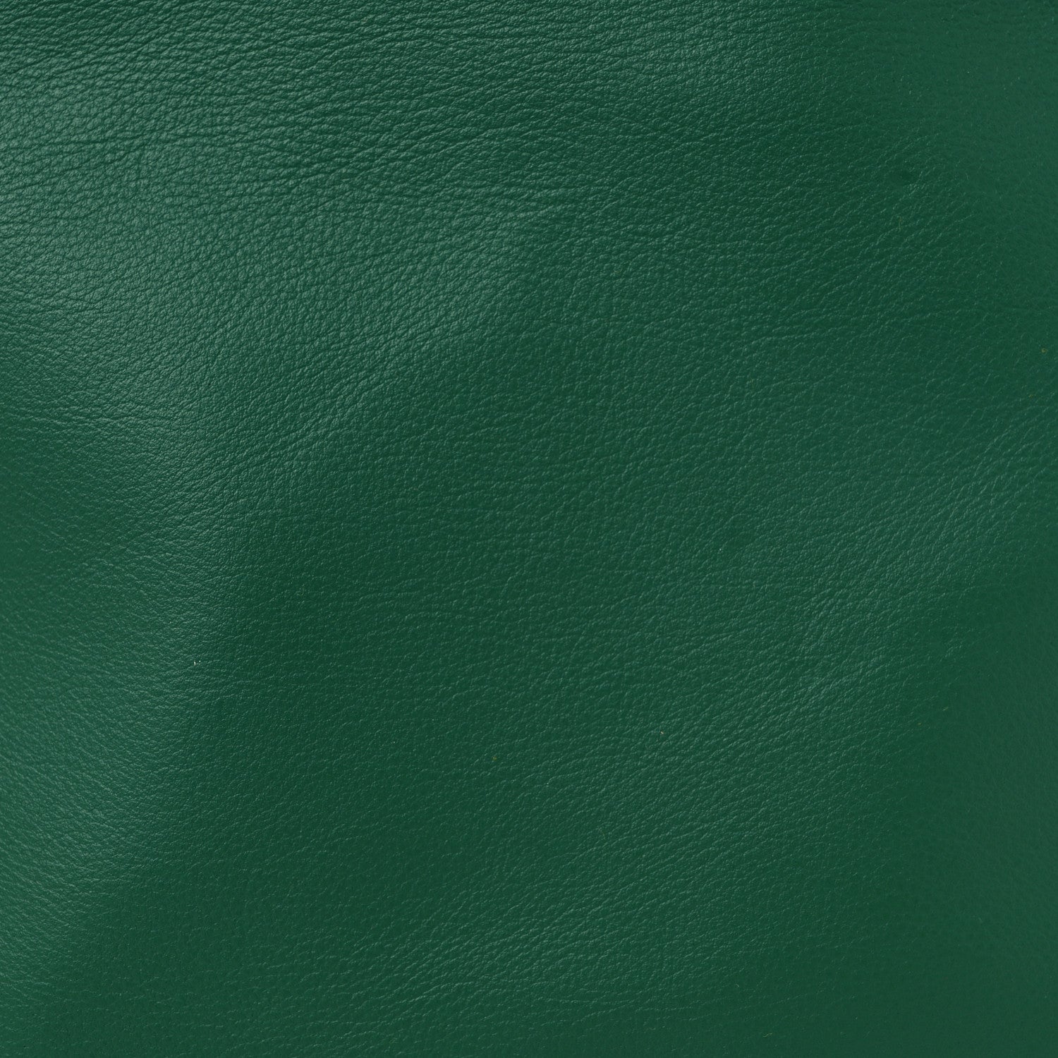 Goyardine Reversible Mini Anjou Green