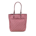 Dior Trotter Canvas Leather 2way Bag