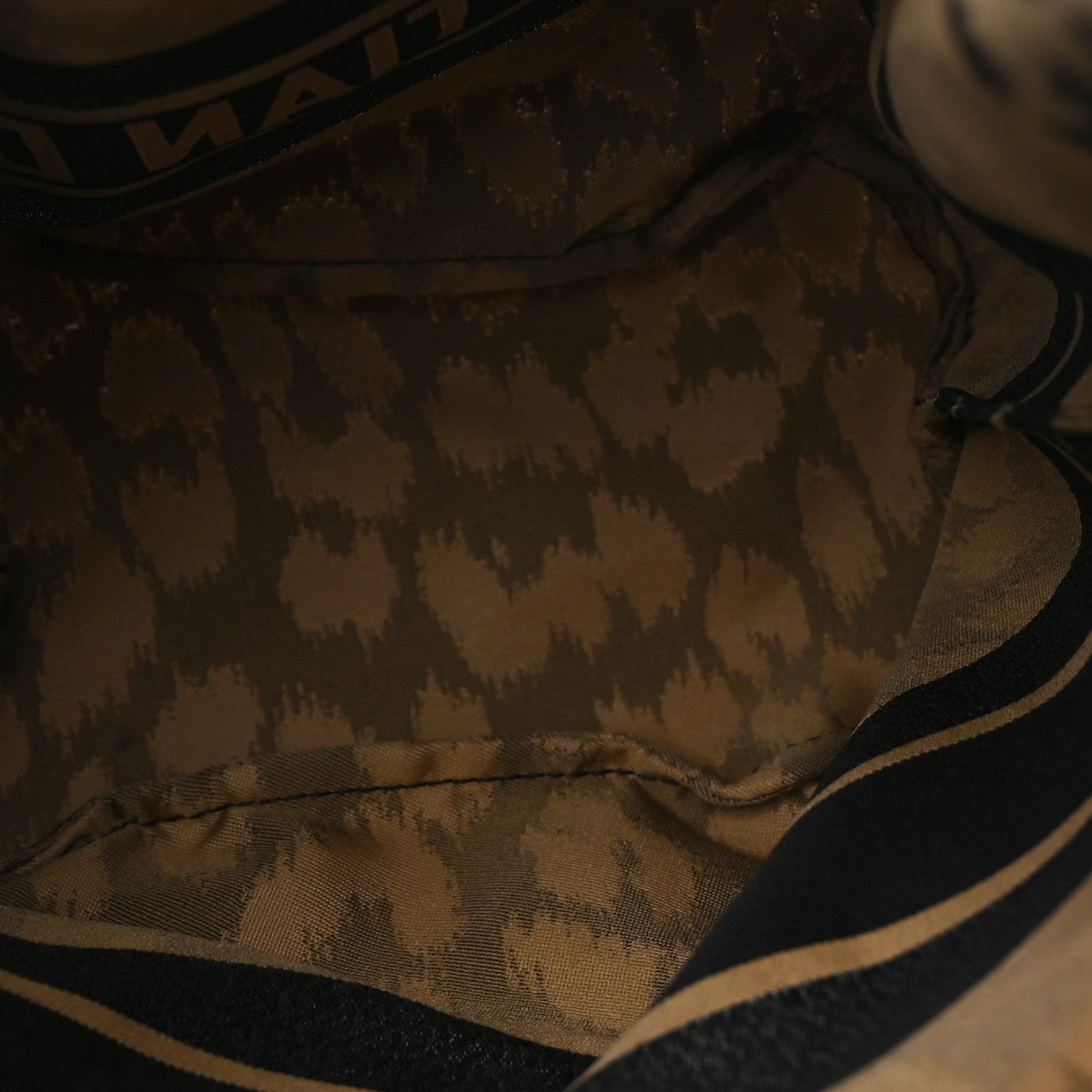 Canvas Mizza Embroidered Leopard DiorTravel Pouch Beige
