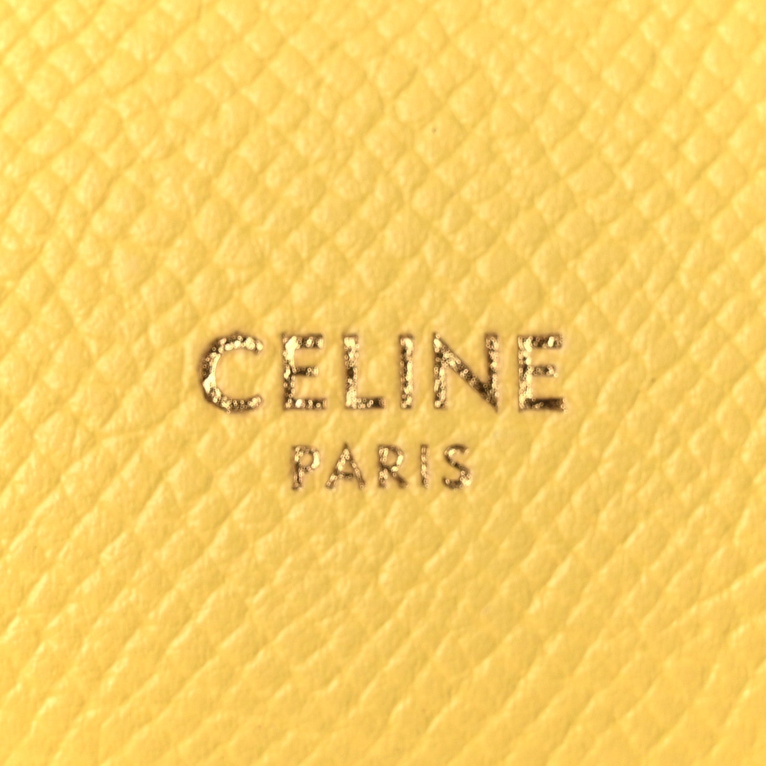 Grained Calfskin Nano Belt Bag Citrus