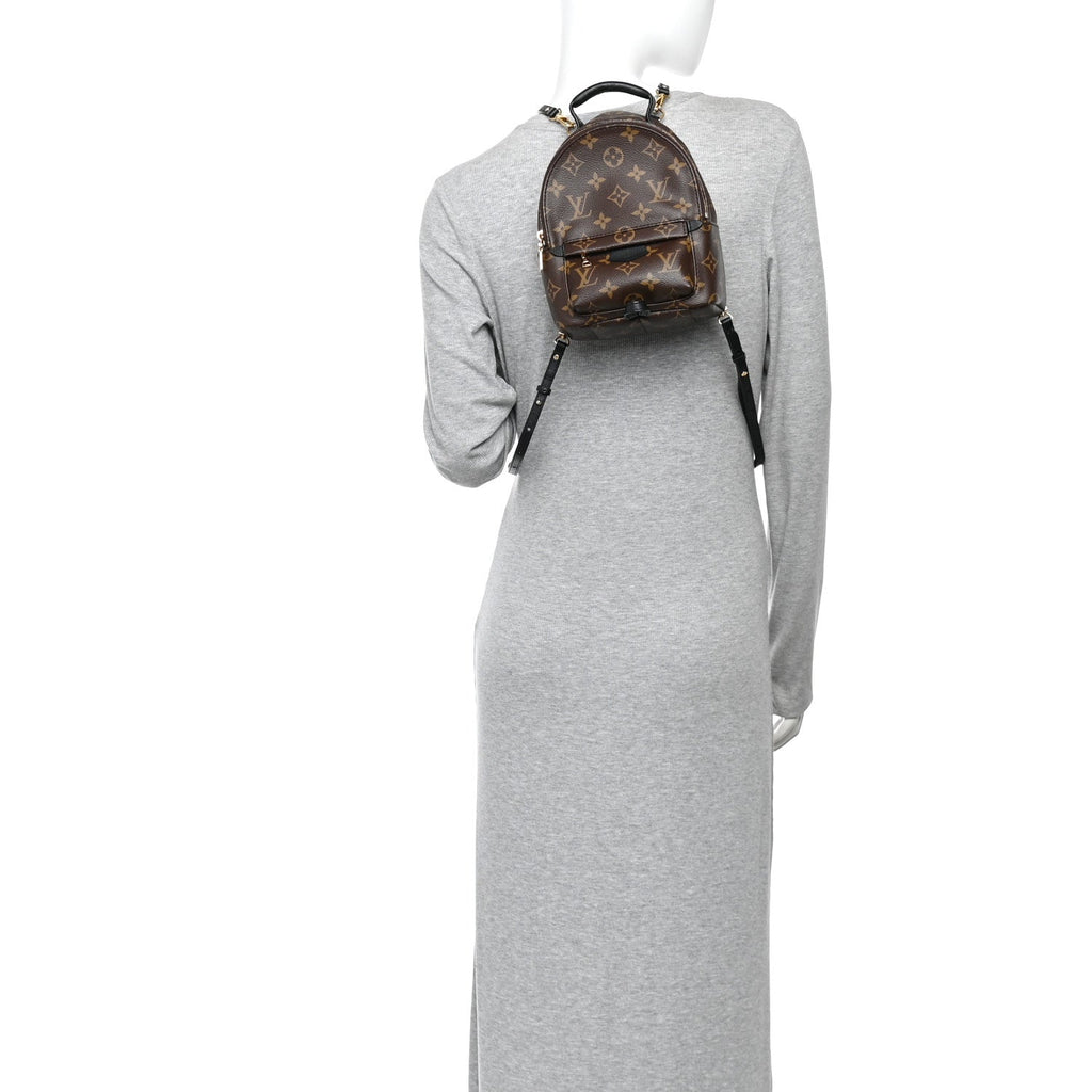 Monogram Palm Springs Backpack Mini