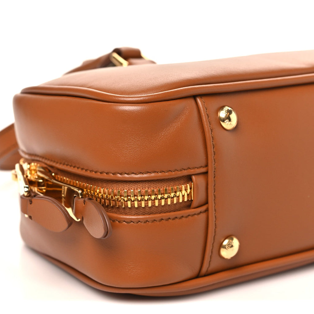 Calfskin Arcadie Top Handle Bag