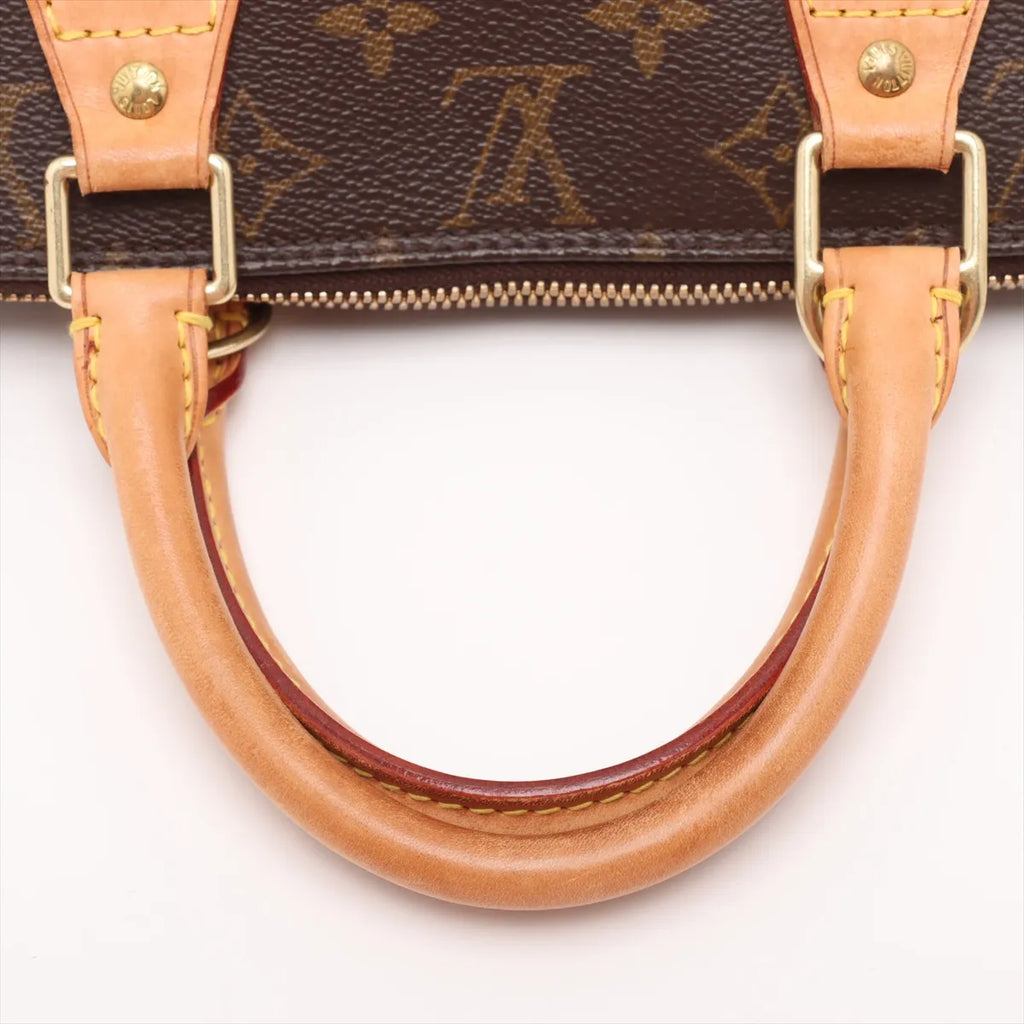 Louis Vuitton Monogram Alma