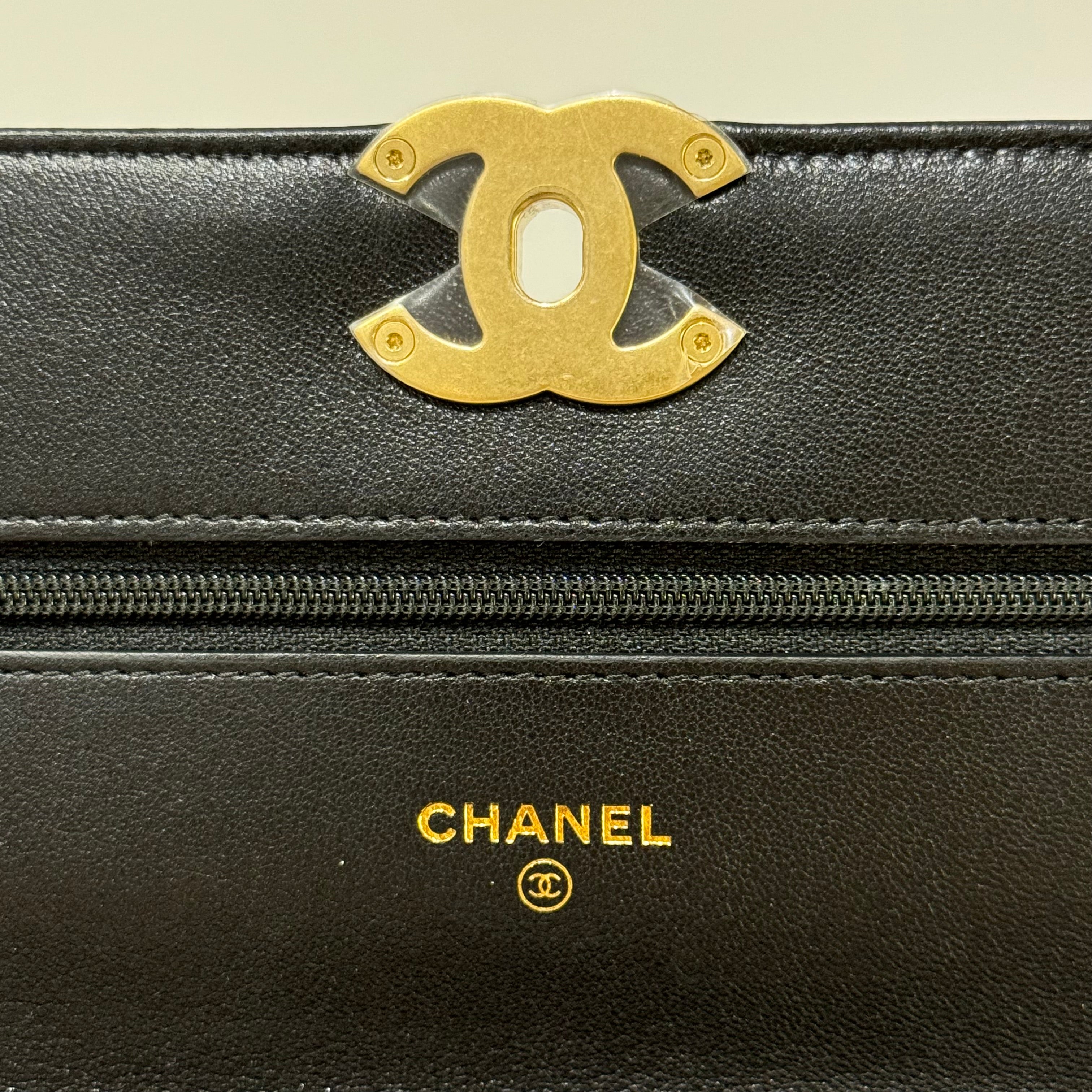 CHANEL 19 BAG  WOC