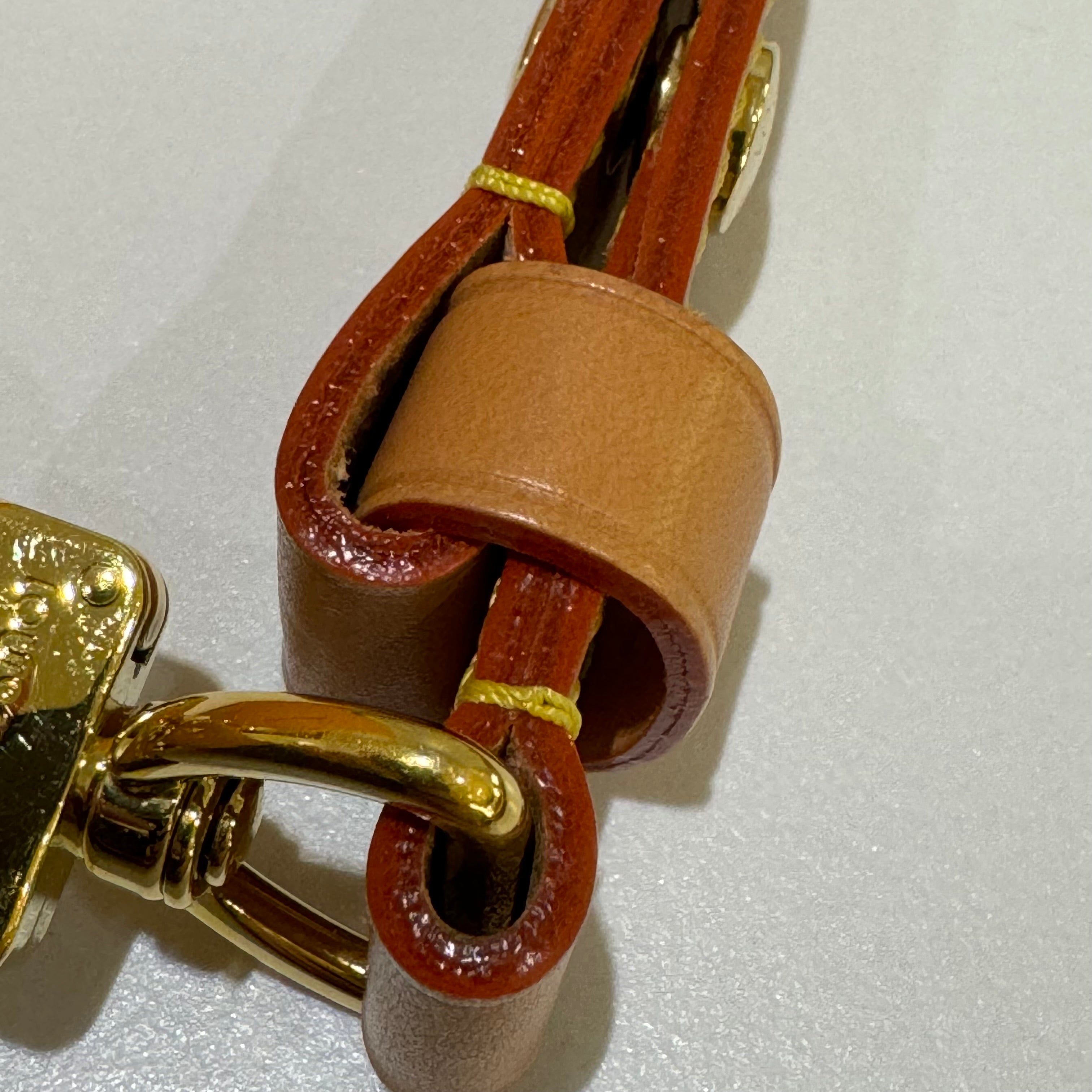 LOUIS VUITTON LOOP PEA POD BAG
