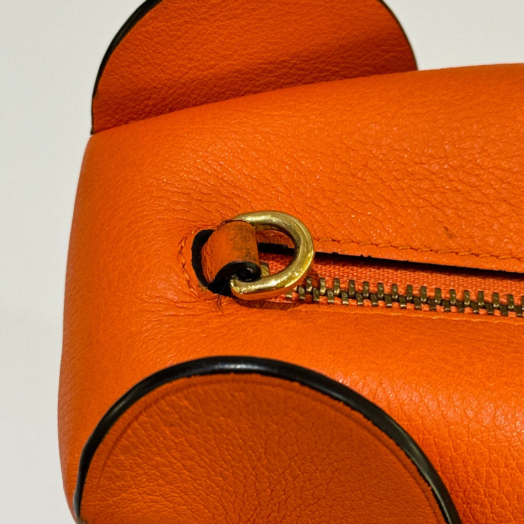 LOEWE ELEPHANT BAG