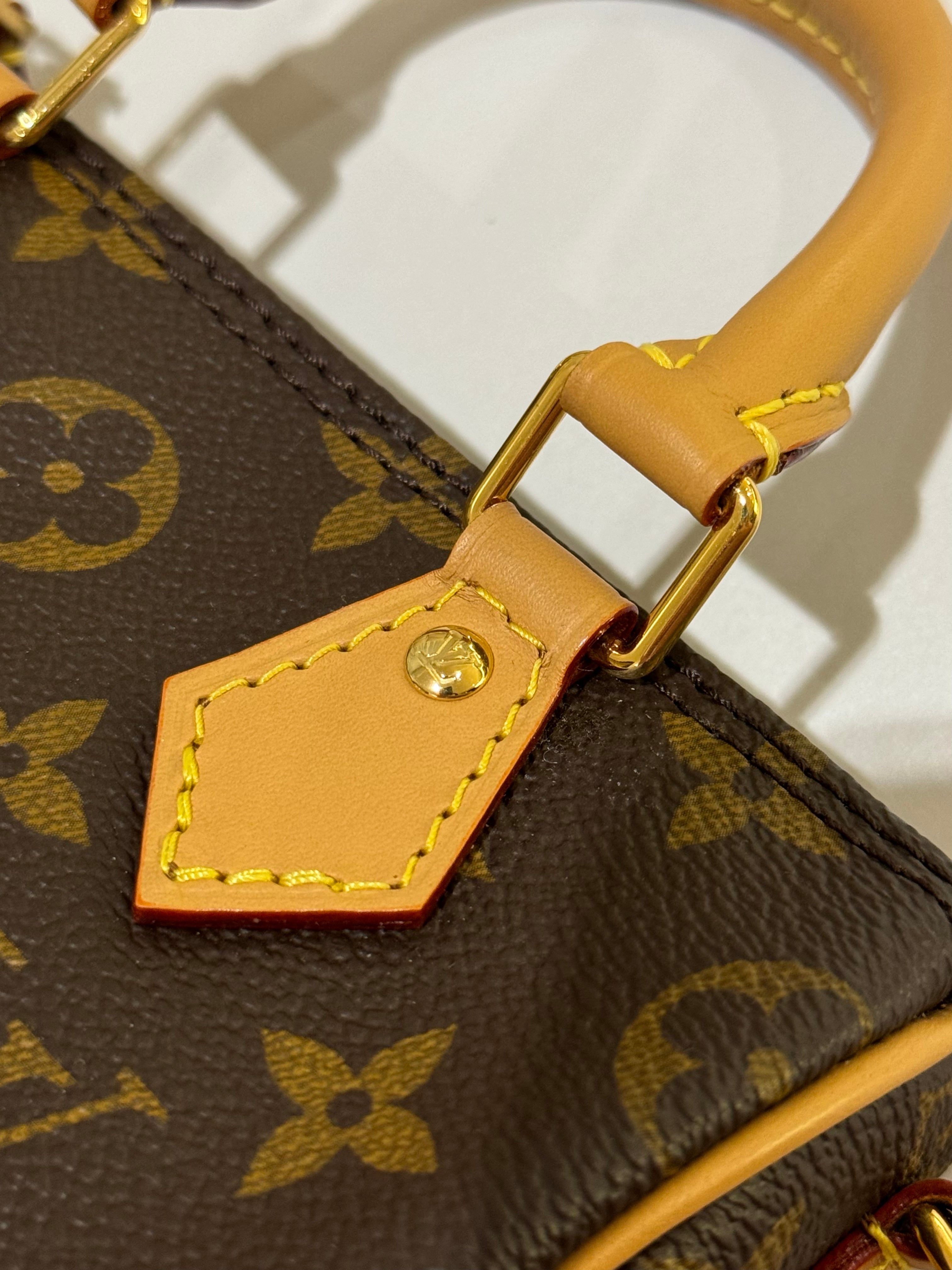 LOUIS VUITTON SPEEDY NANO