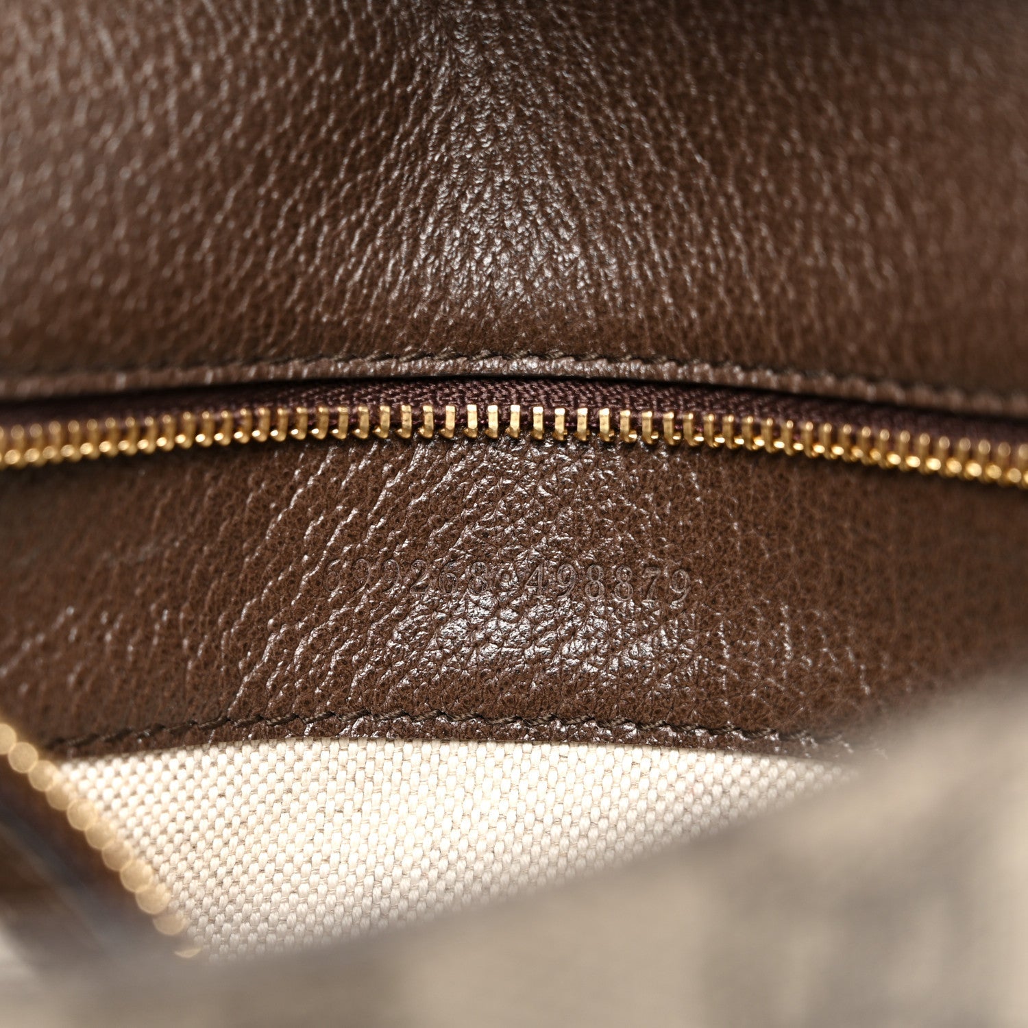 GG Supreme Monogram Textured Dollar Calfskin Blondie Chain Shoulder Flap Bag Beige Ebony New Acero