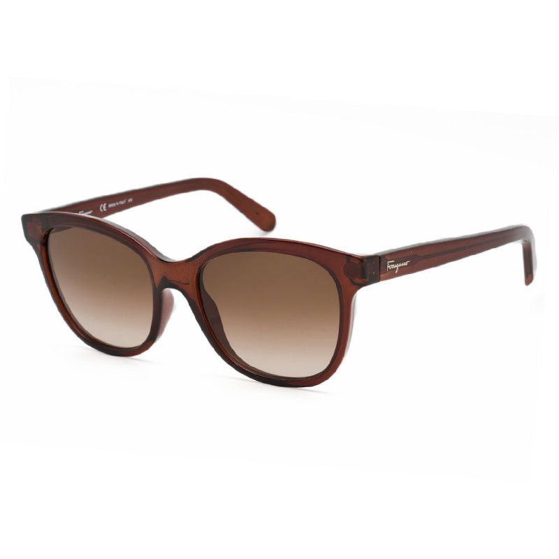 Salvatore Ferragamo SF834S 210 Transparent Brown/Brown