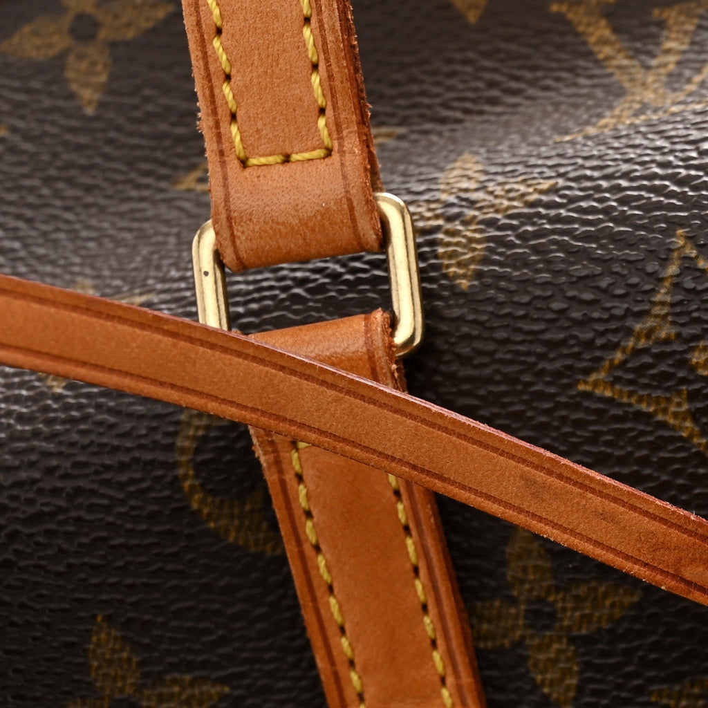 Monogram Papillon 30 with Companion