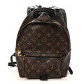 Monogram Palm Springs Backpack PM
