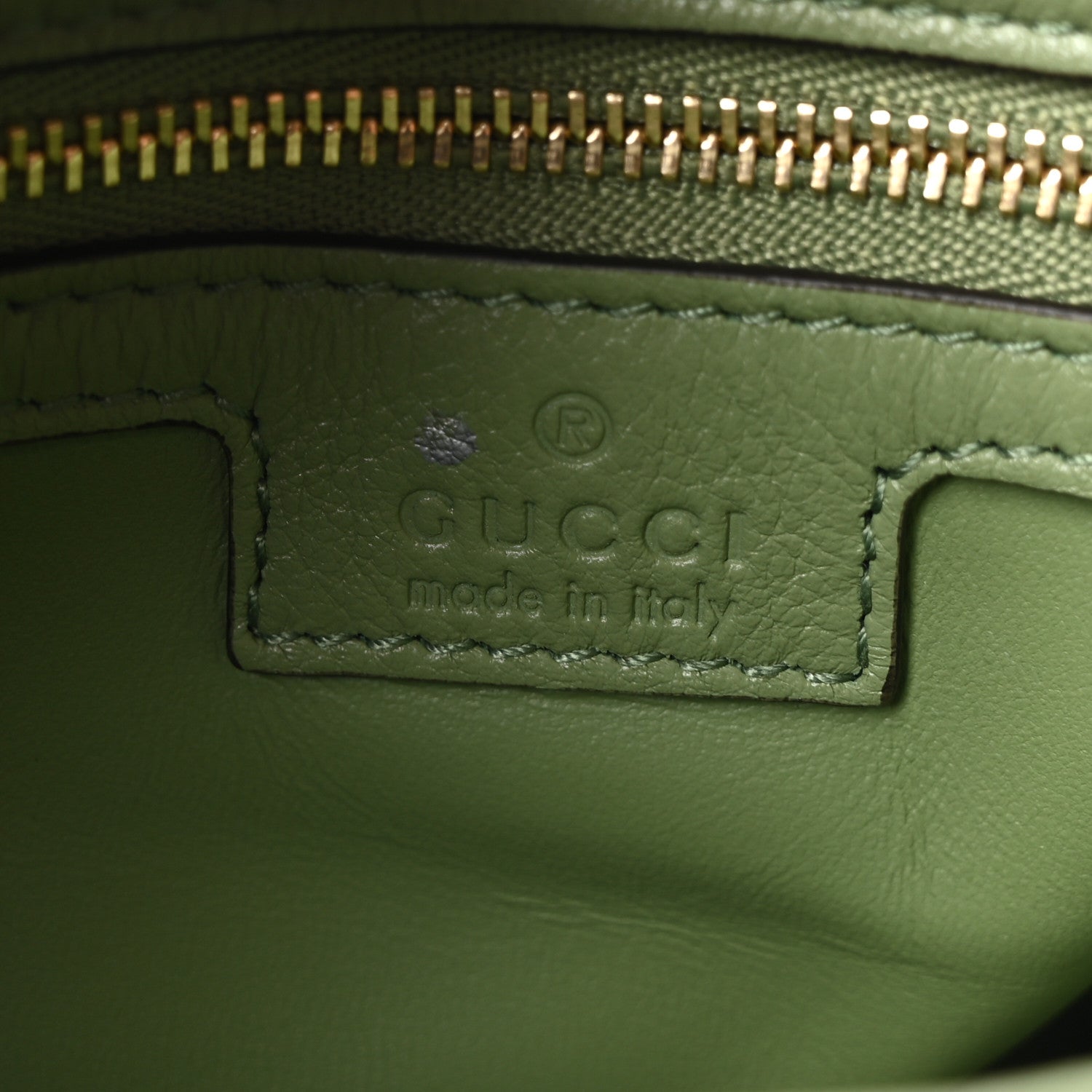 Roxy Calfskin Web Medium Blondie Top Handle Shoulder Flap Bag Salamander Green