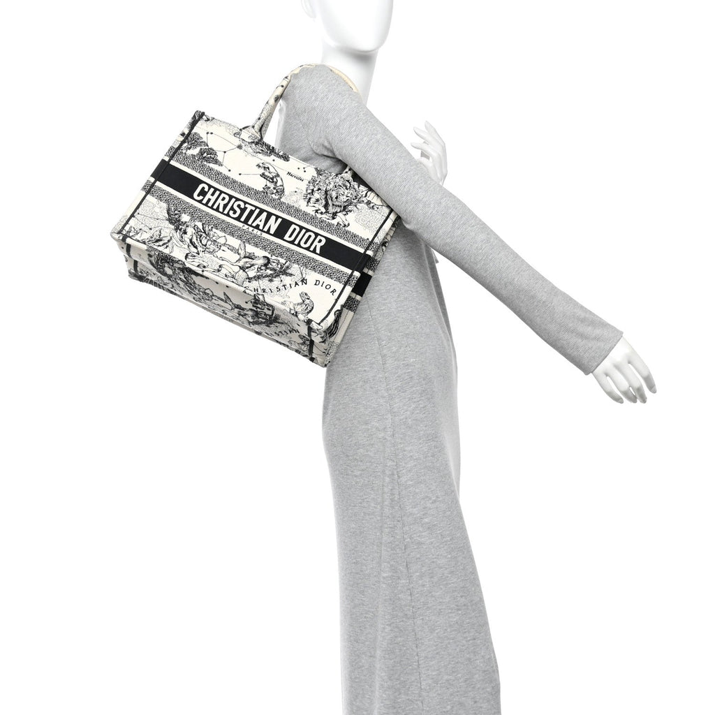 Canvas Zodiac Toile De Jouy Embroidered Medium Book Tote Latte