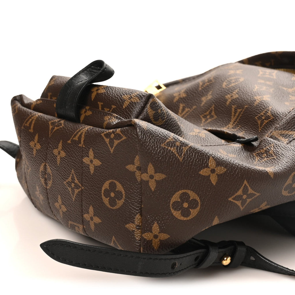 Monogram Palm Springs Backpack PM