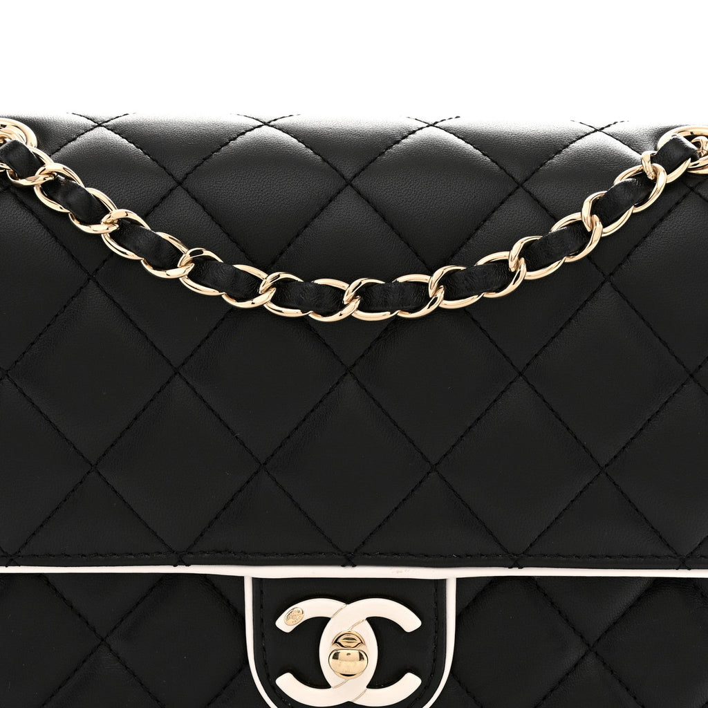 Lambskin Quilted Resin Graphic Frame Flap Bag Black White