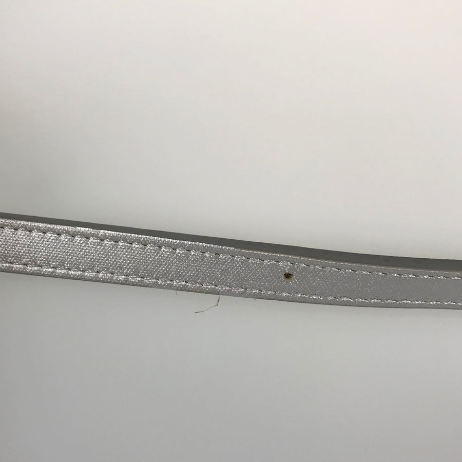 CELINE Belt Bag Hand bag