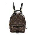 Monogram Palm Springs Backpack Mini