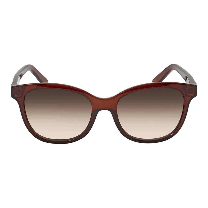 Salvatore Ferragamo SF834S 210 Transparent Brown/Brown