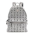 Metallic Visetos Medium Side Stud Stark Backpack Berlin Silver