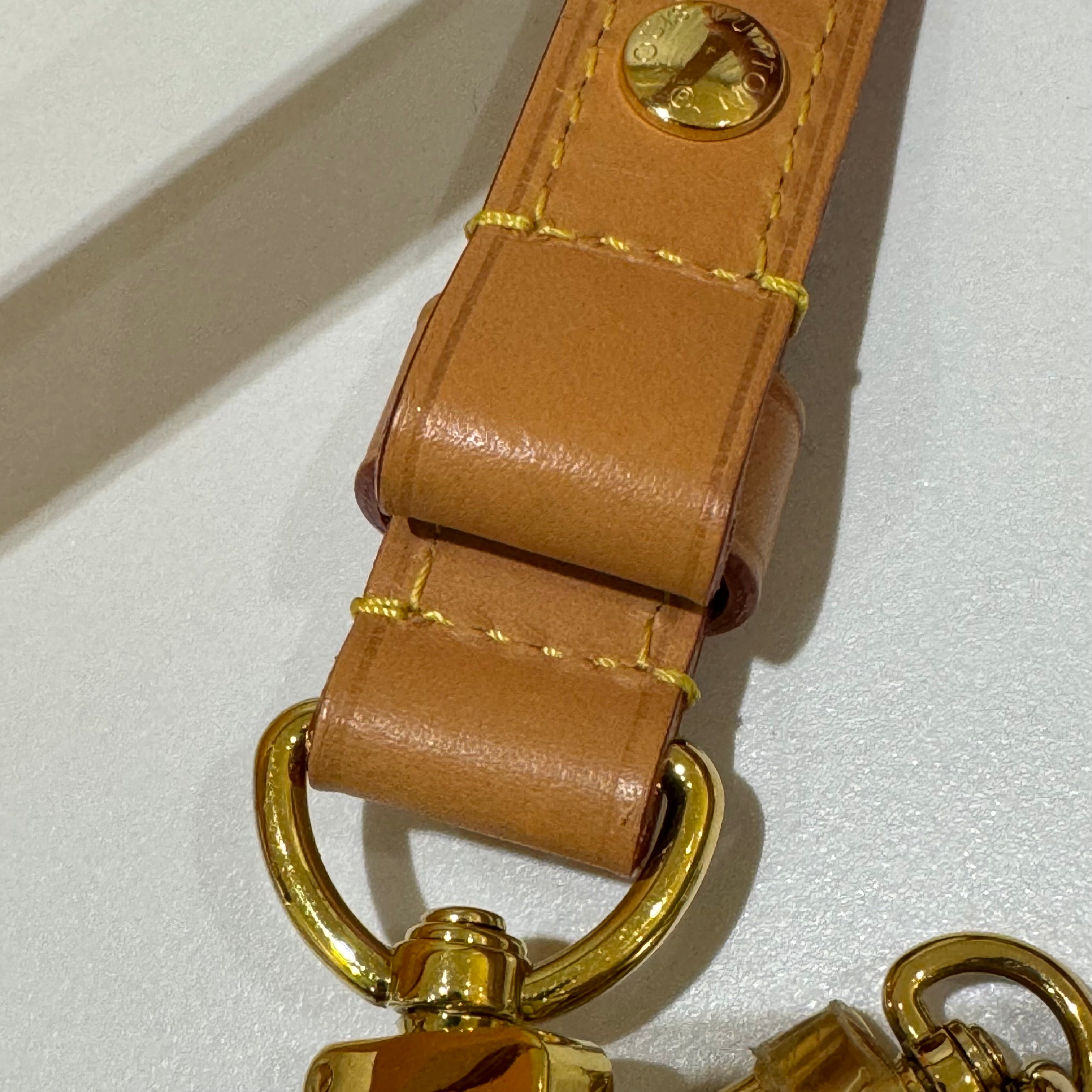 LOUIS VUITTON LOOP PEA POD BAG
