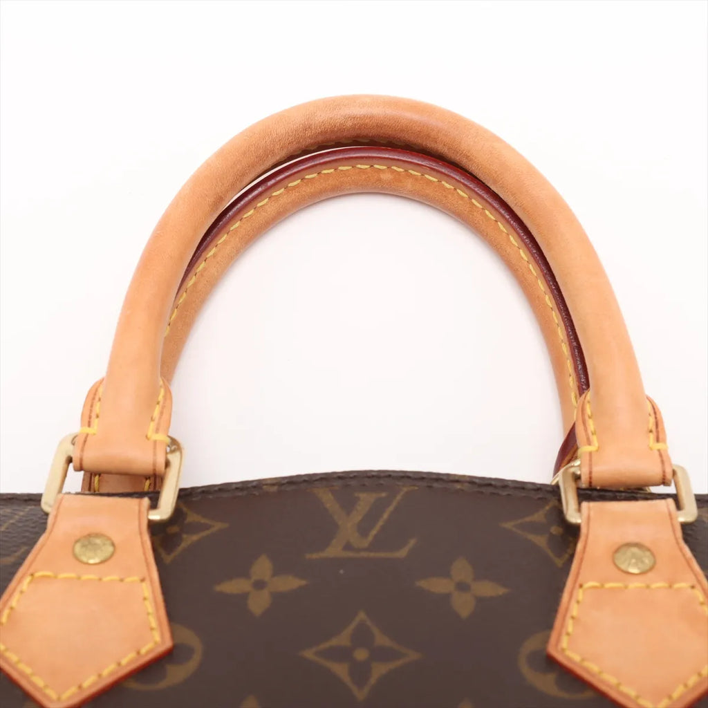 Louis Vuitton Monogram Alma