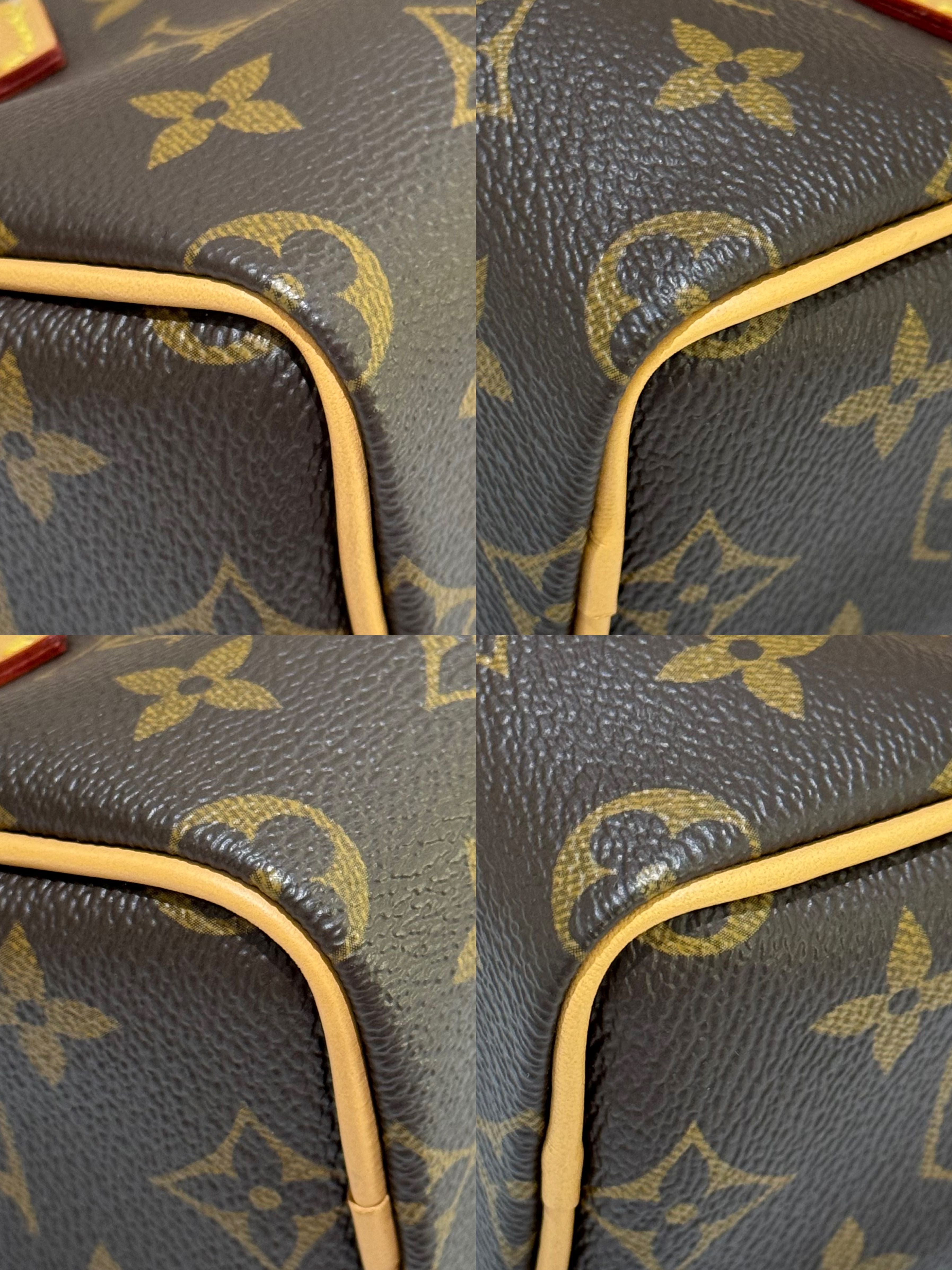 LOUIS VUITTON SPEEDY NANO