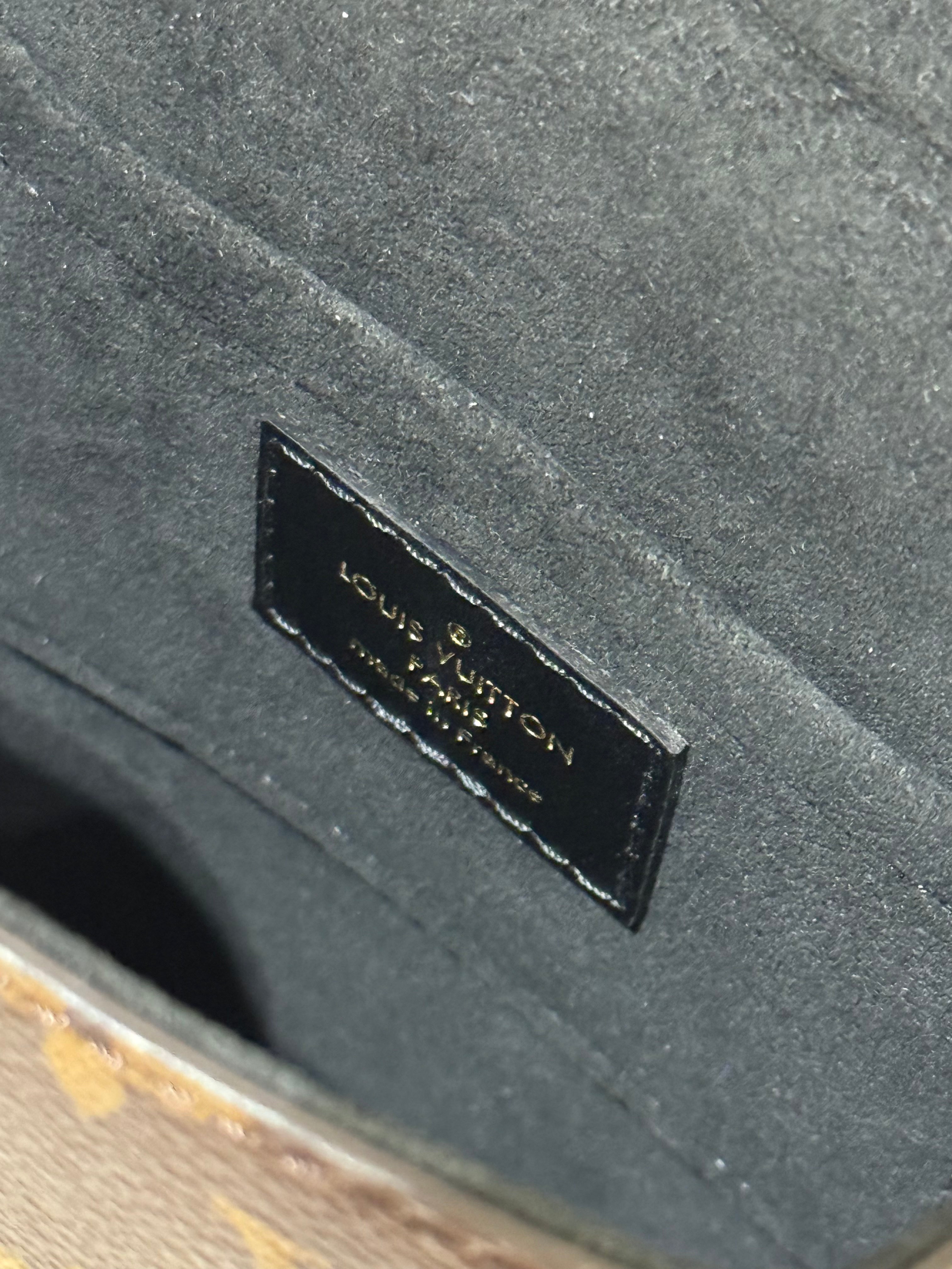 LOUIS VUITTON CAMERA BOX