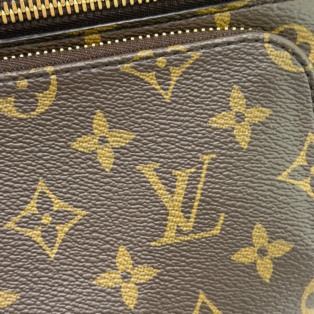 Louis Vuitton Monogram Rush Shoulder Crossbody Bag (Chip Model)