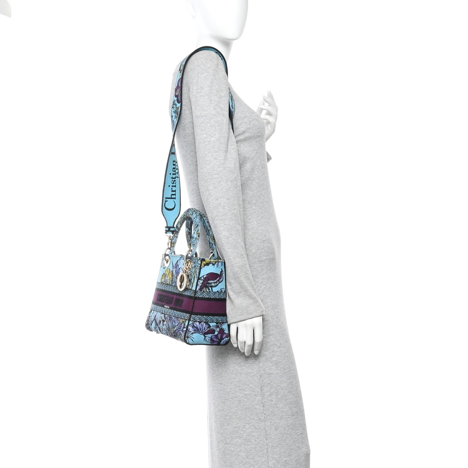 Canvas Toile de Jouy Voyage Embroidered Medium Lady D-Lite Celestial Blue