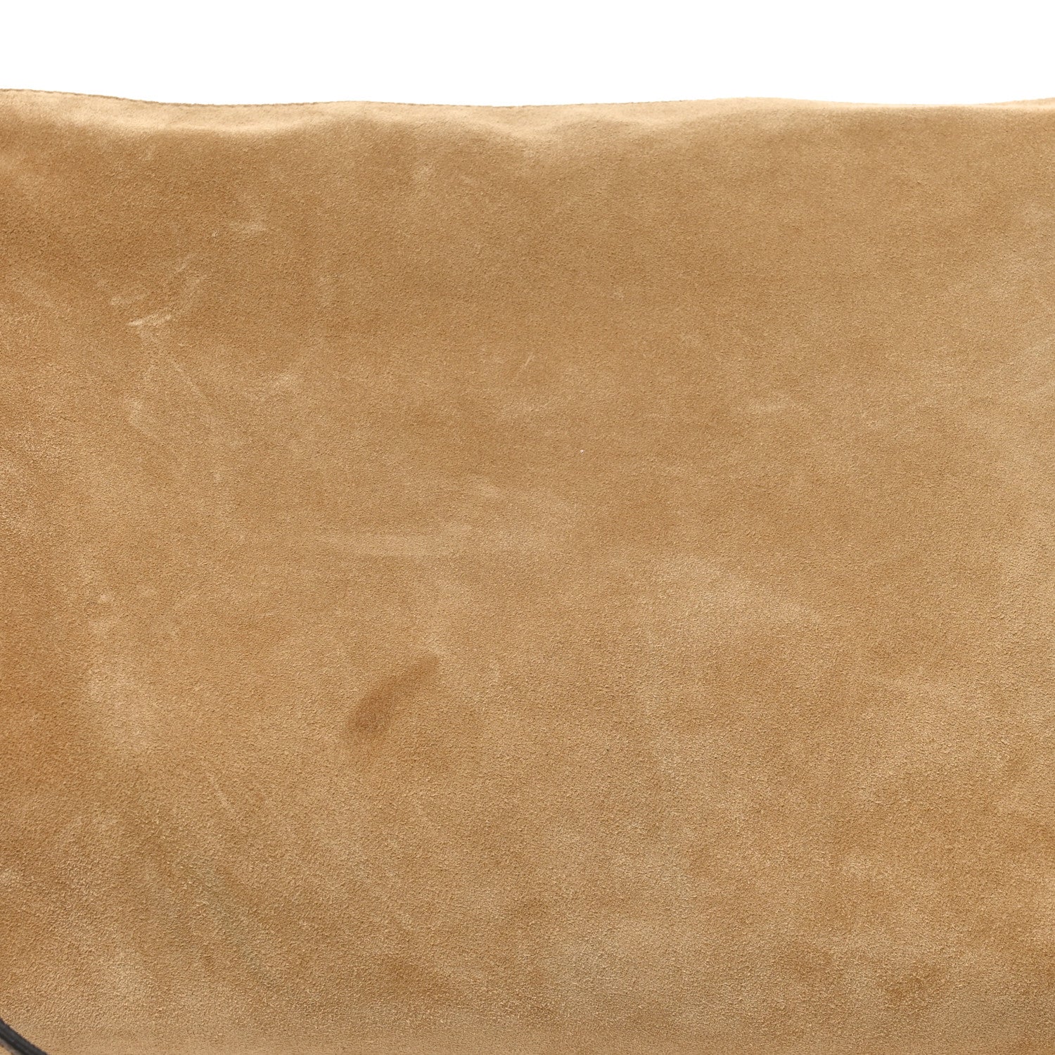 Suede Monogram Express MM Hazelnut