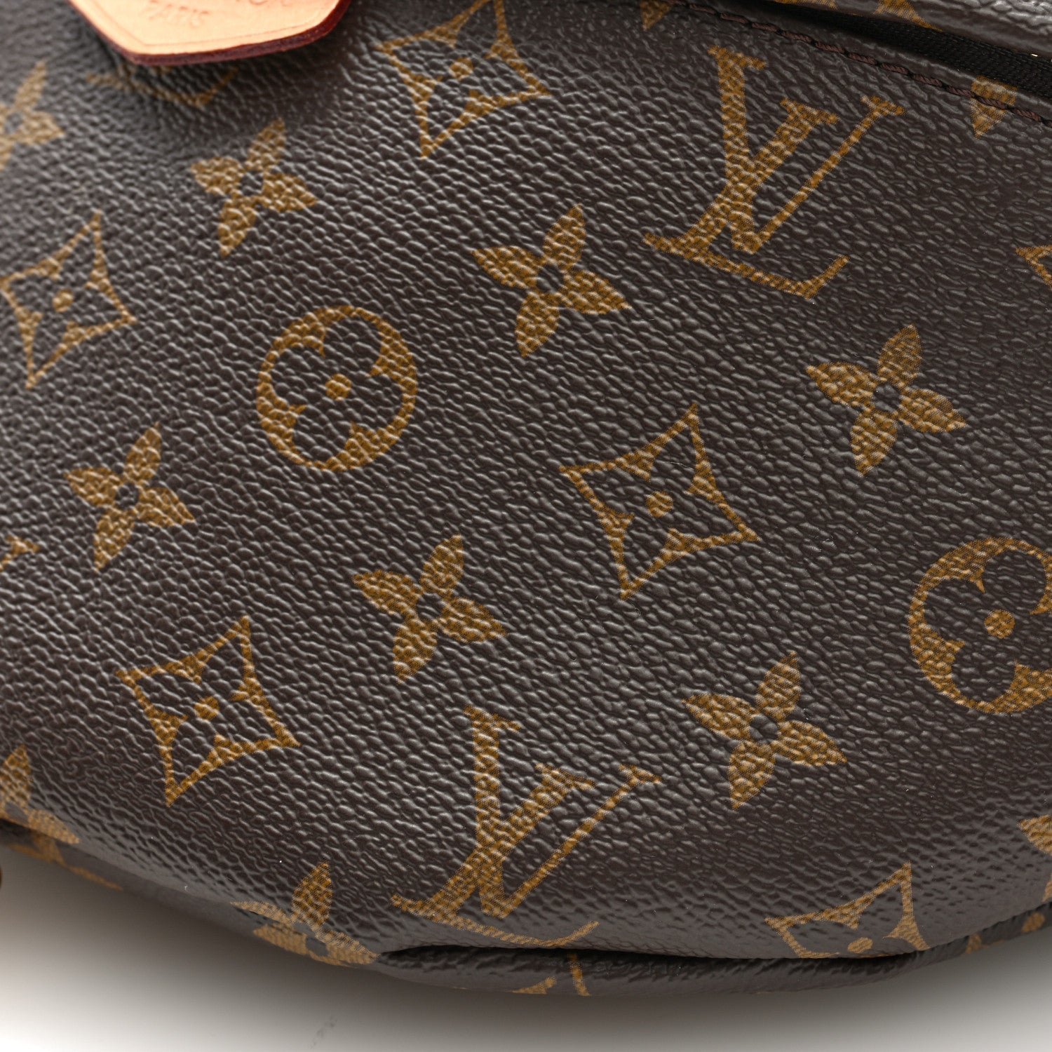 Monogram Bumbag