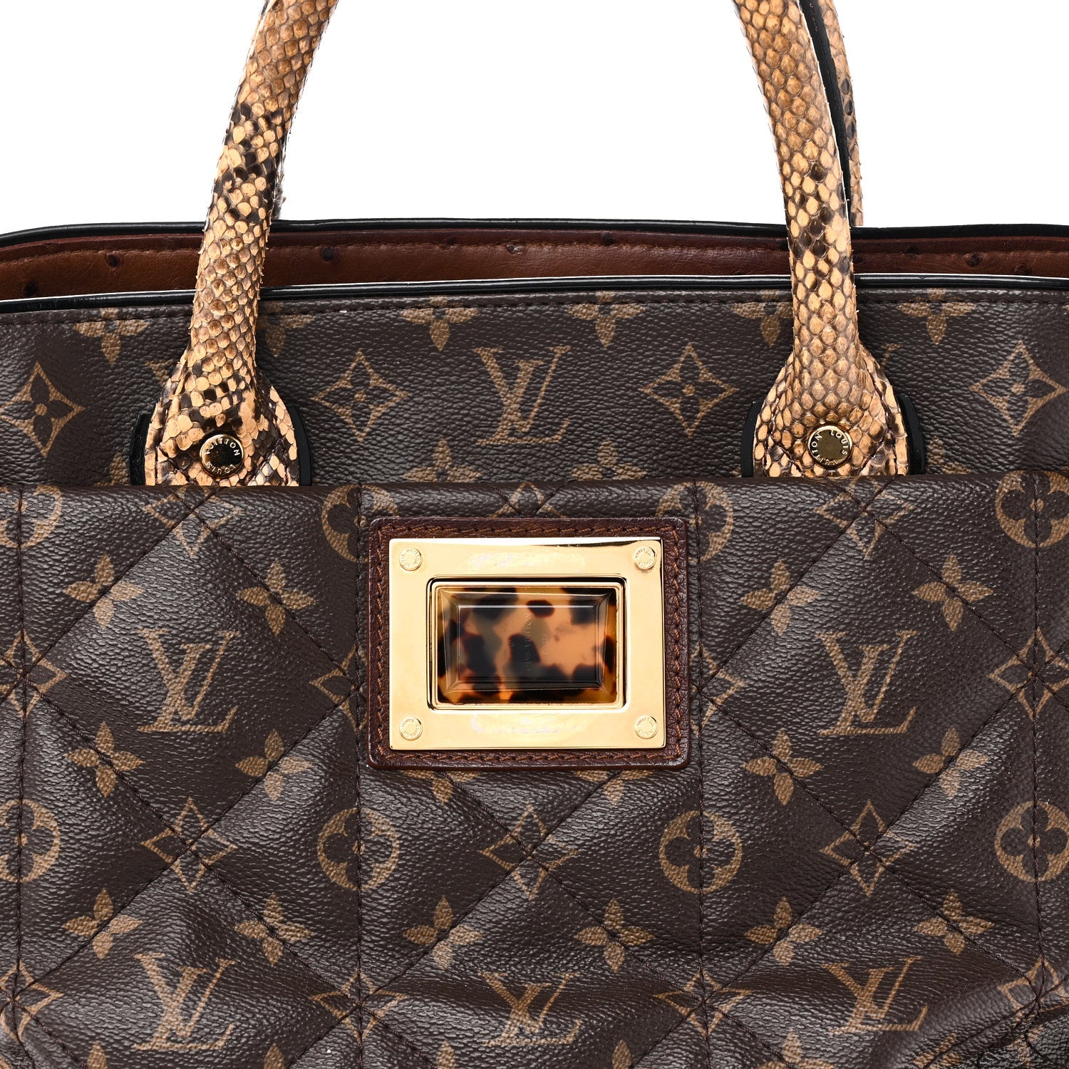 Monogram Etoile Exotique MM