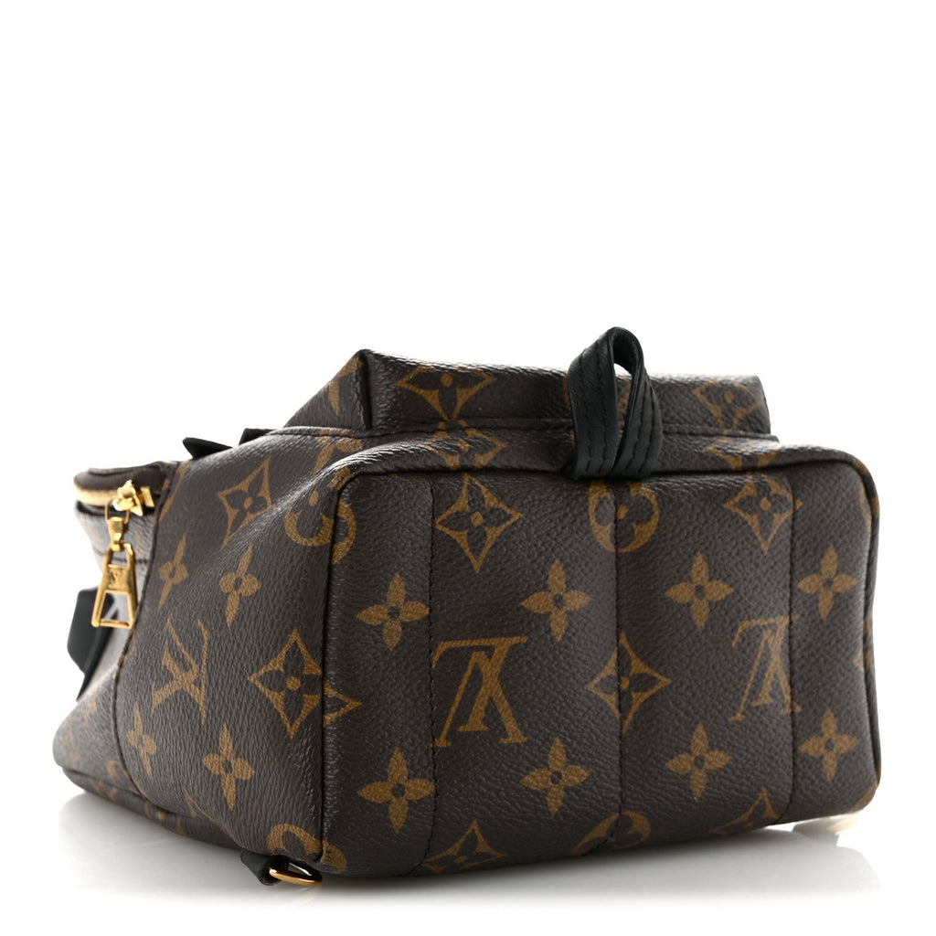 Monogram Palm Springs Backpack Mini
