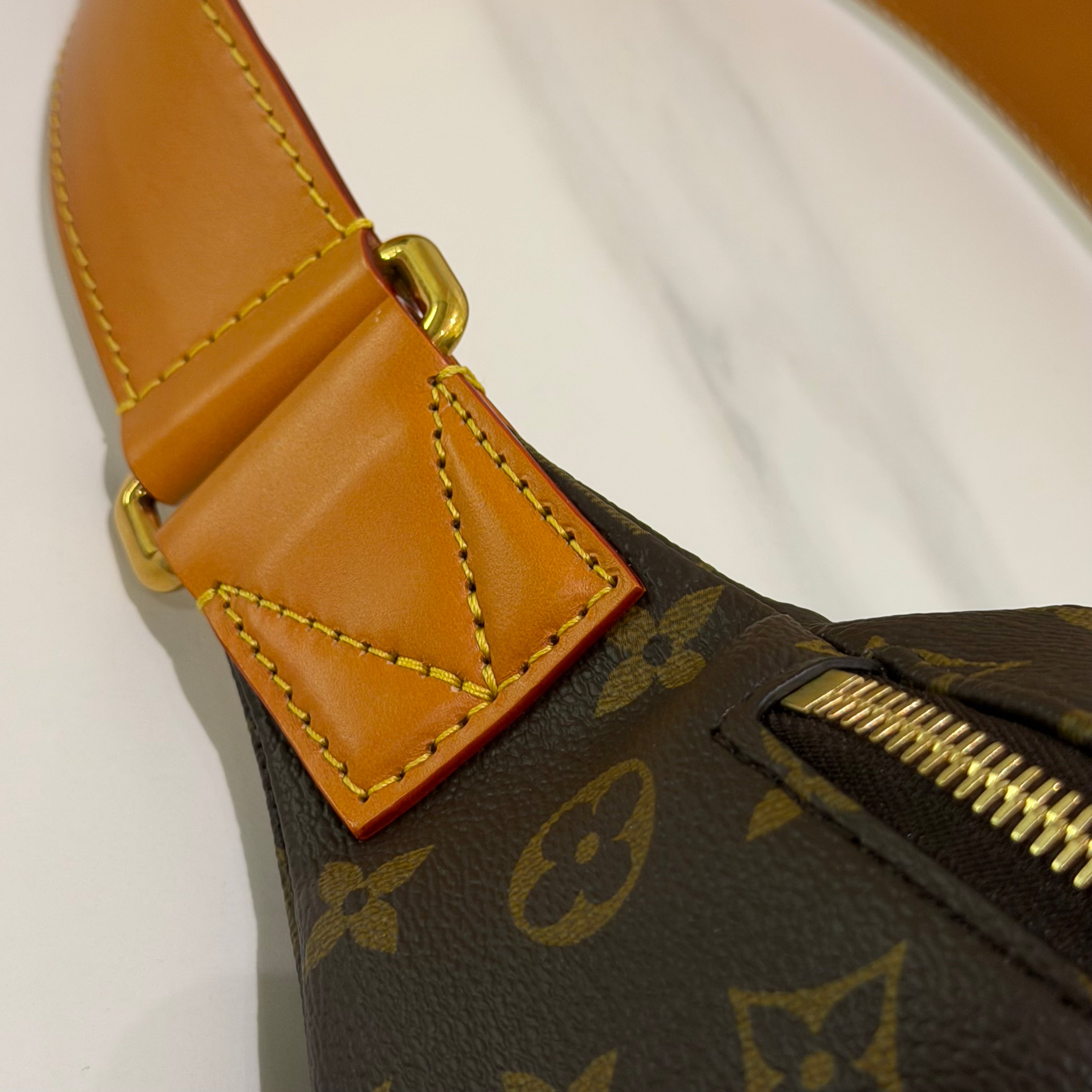 Louis Vuitton Monogram Rush Shoulder Crossbody Bag (Chip Model)