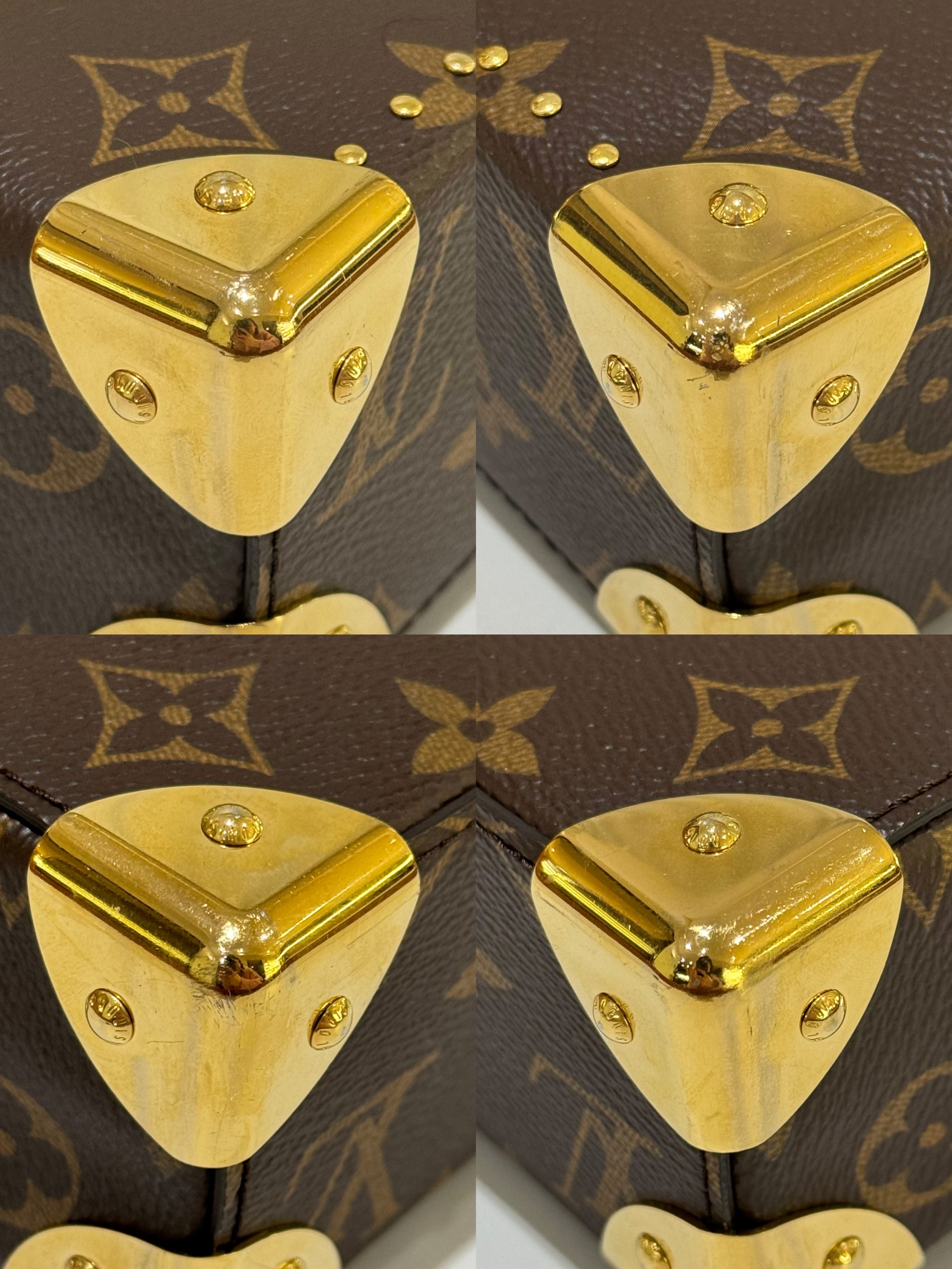 LOUIS VUITTON CAMERA BOX