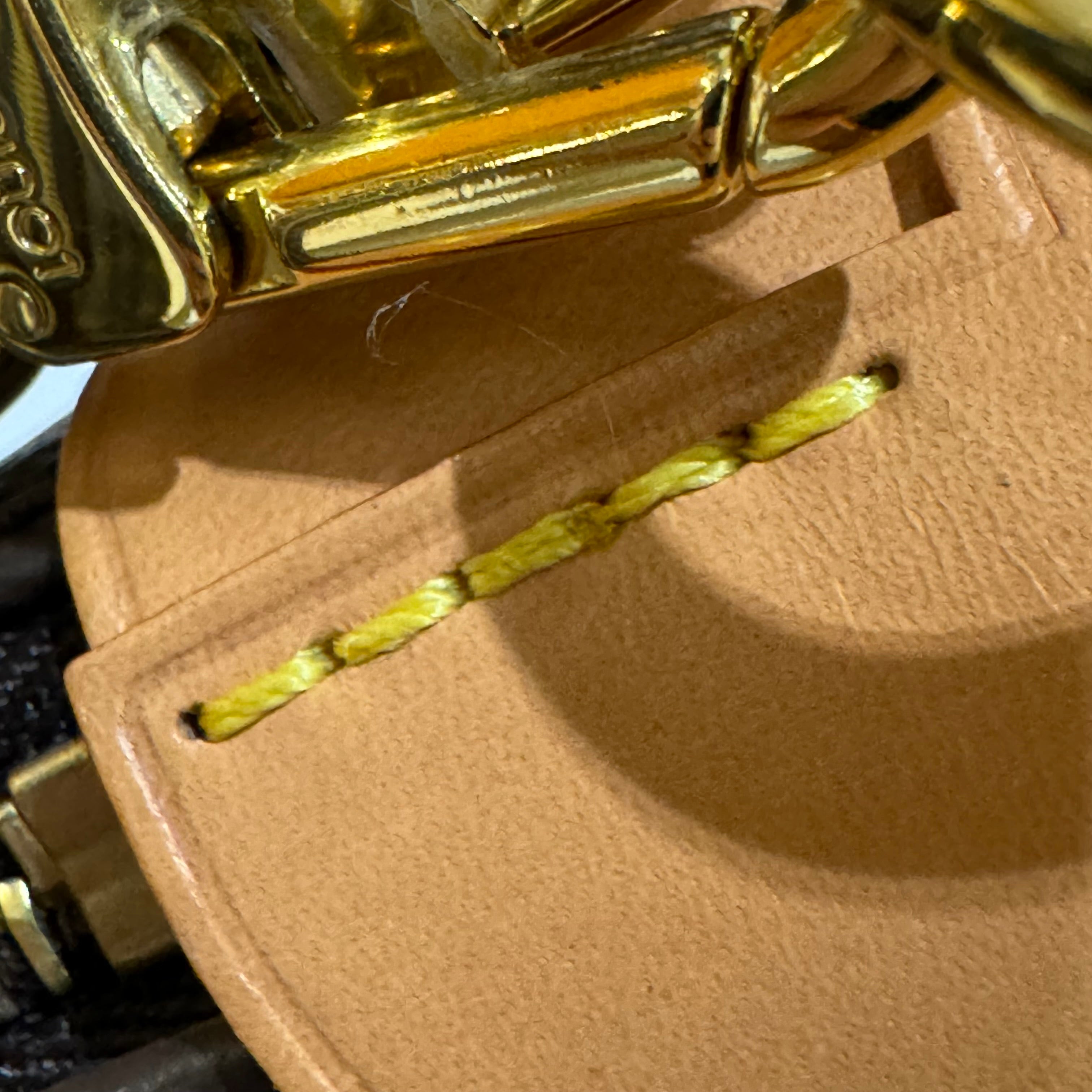LOUIS VUITTON LOOP PEA POD BAG