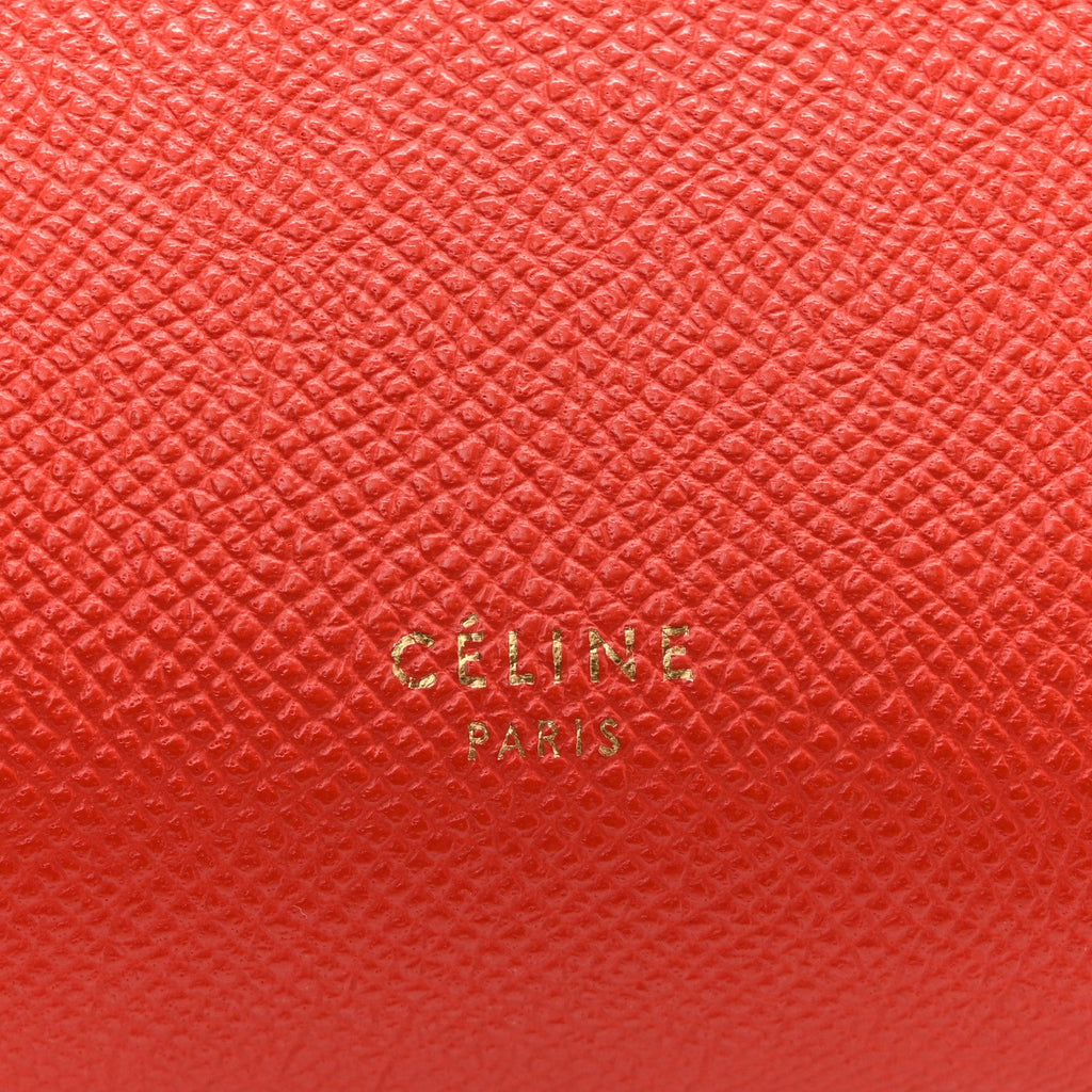 Grained Calfskin Nano Belt Bag Coral