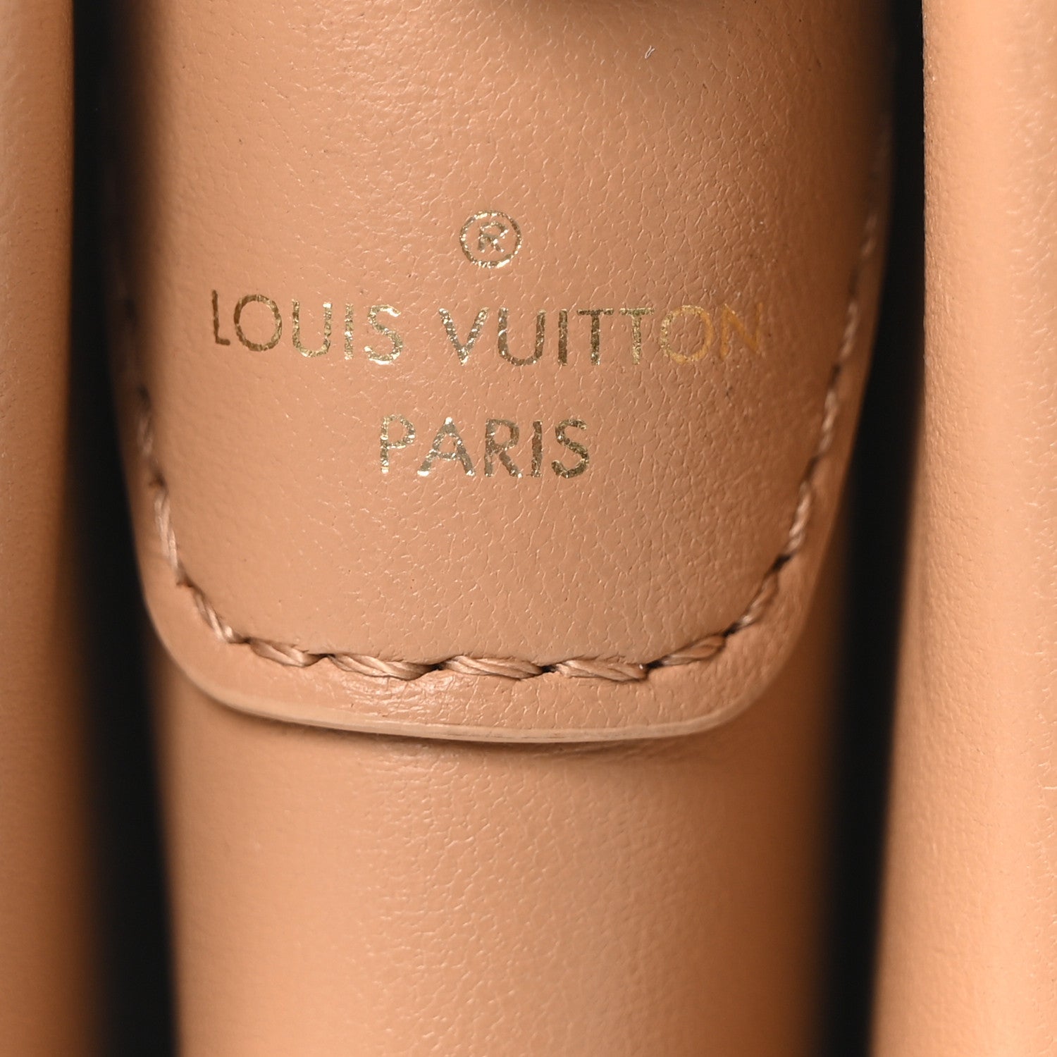 Lambskin Embossed Monogram Coussin PM Camel