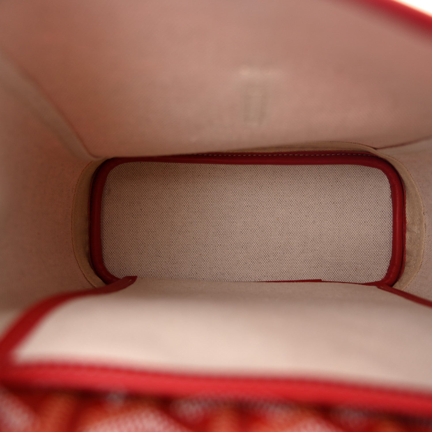 Goyardine Calfskin Mini Alpin Backpack Red