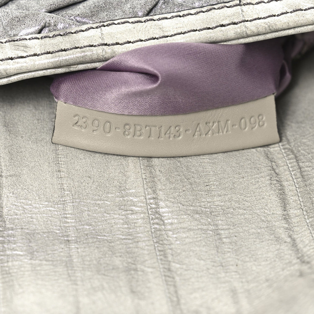 Iridescent Eelskin Maxi Chain Baguette Bag Grey Multicolor