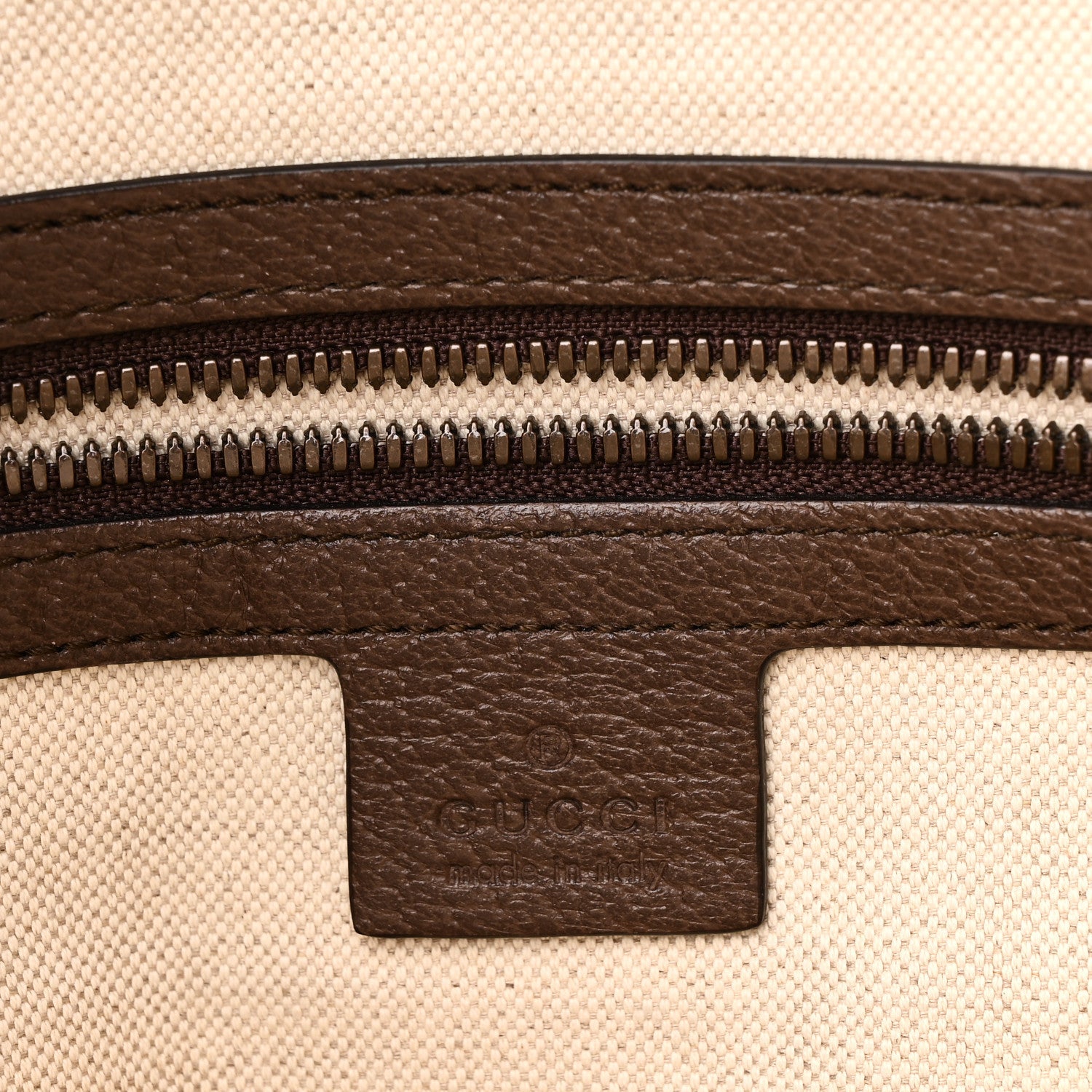 GG Supreme Monogram Web Small Ophidia Half Moon Hobo Brown