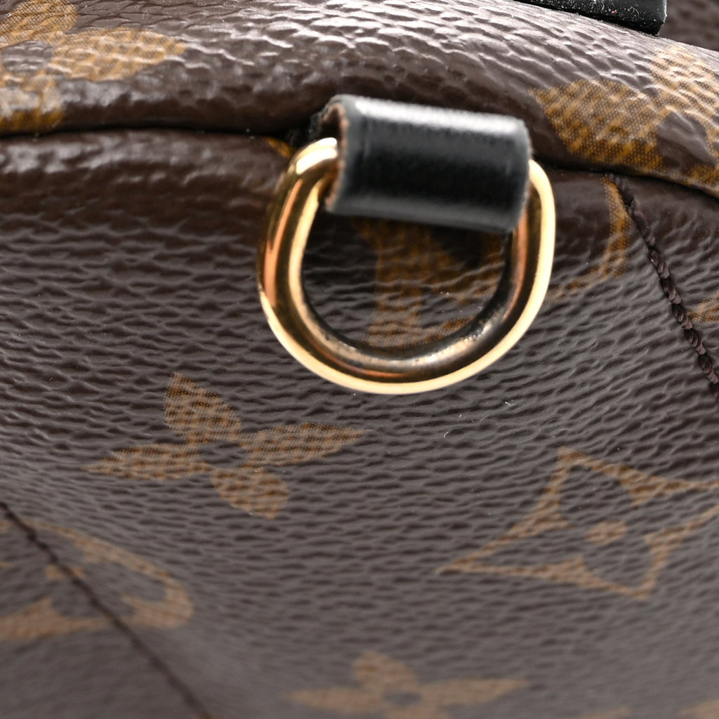 Monogram Palm Springs Backpack Mini