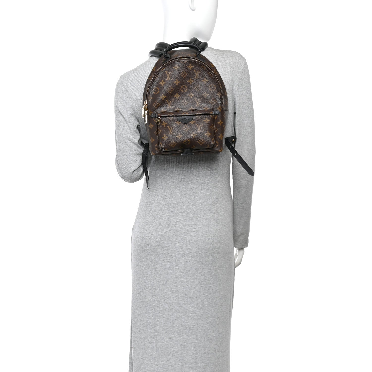 Monogram Palm Springs Backpack PM