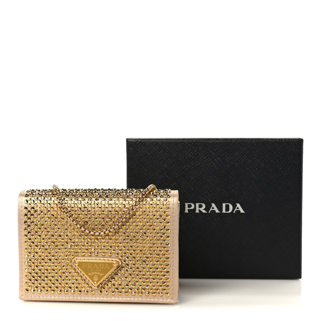 Satin Crystal Metal Triangle Logo Card Holder With Strap Platino