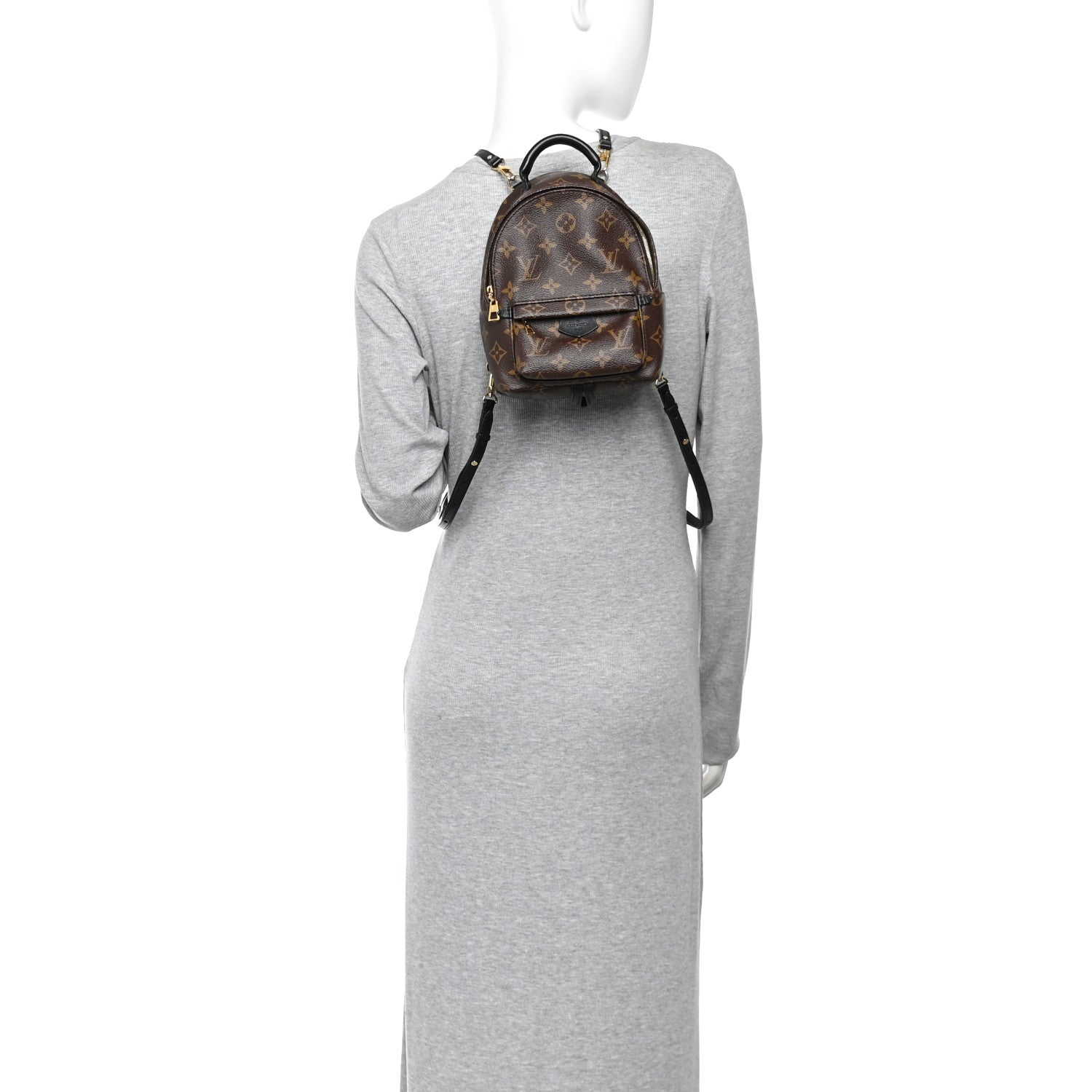 Monogram Palm Springs Backpack Mini