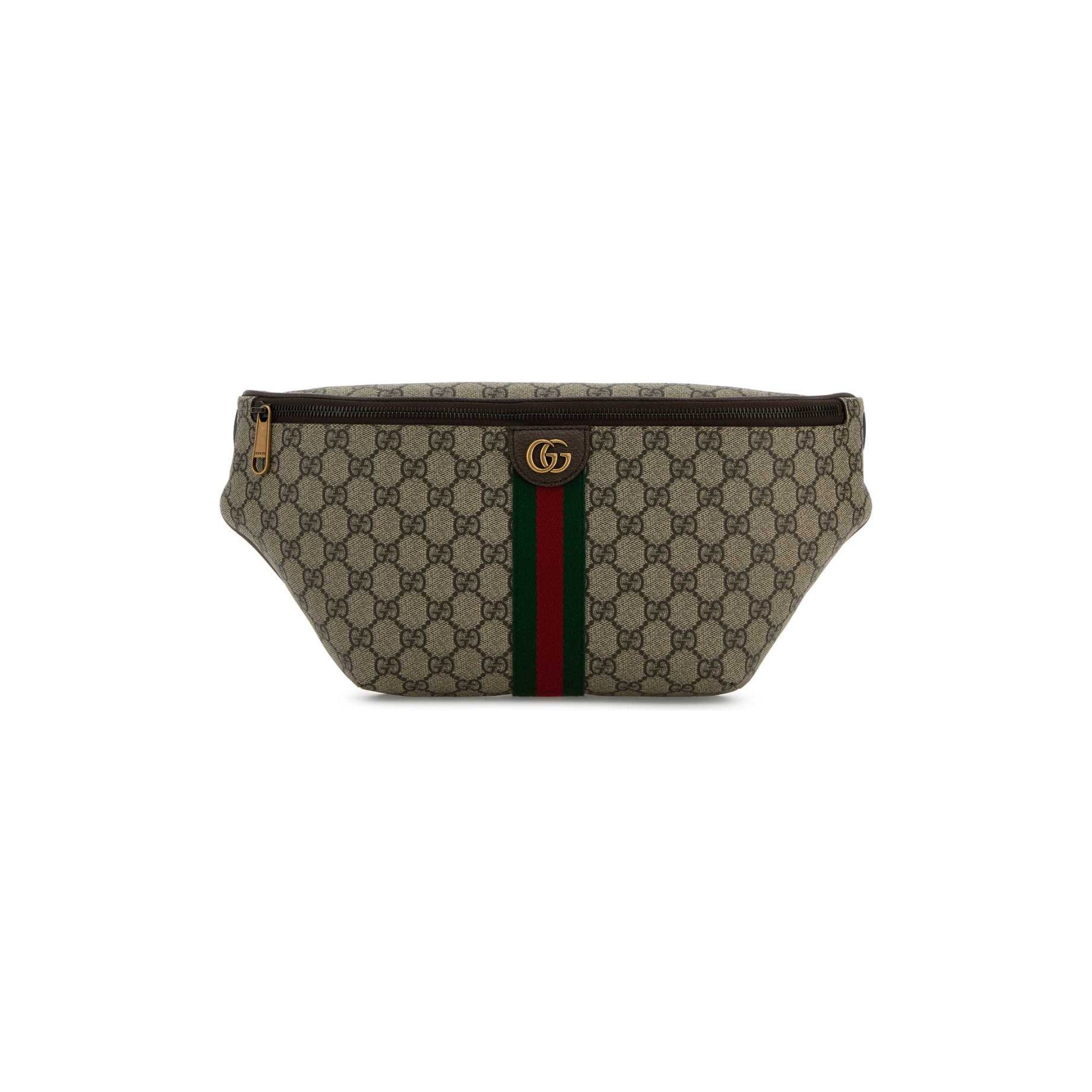 Ophidia large belt bag